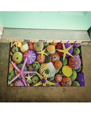 Deniz Yıldıızı Desenli Kauçuk Kapı Önü Paspası